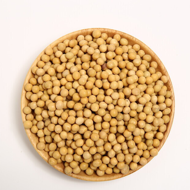 东北五谷杂粮黄豆500g/包营养天然