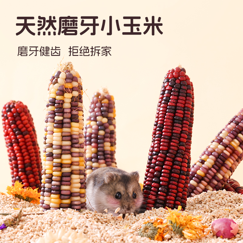 仓鼠食用磨牙棒营养粮小玉米棒金丝熊解馋适口性强互动零食磨牙棒