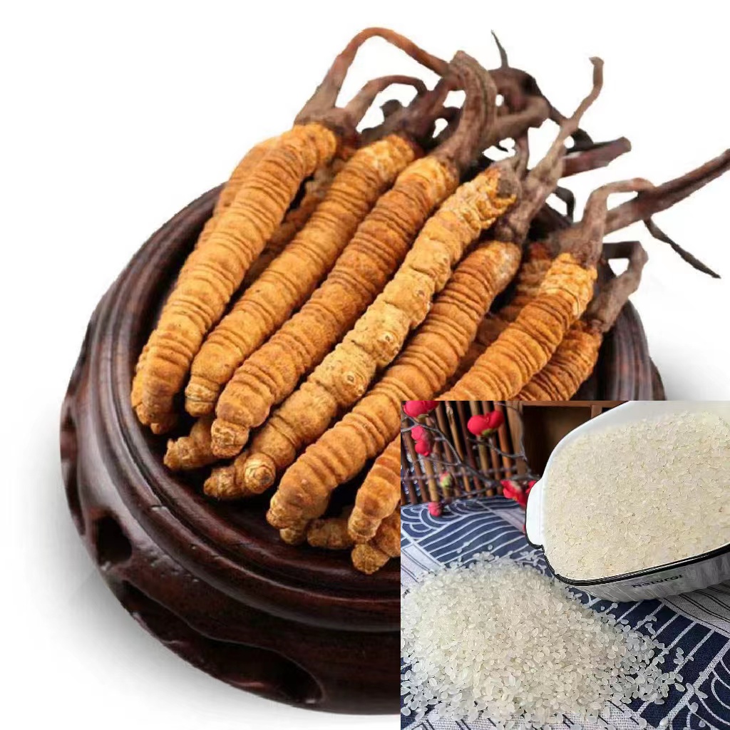 粉丝福利大米FC102由干冬虫夏草提供
