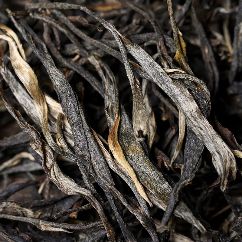 薄荷塘古树生茶散茶