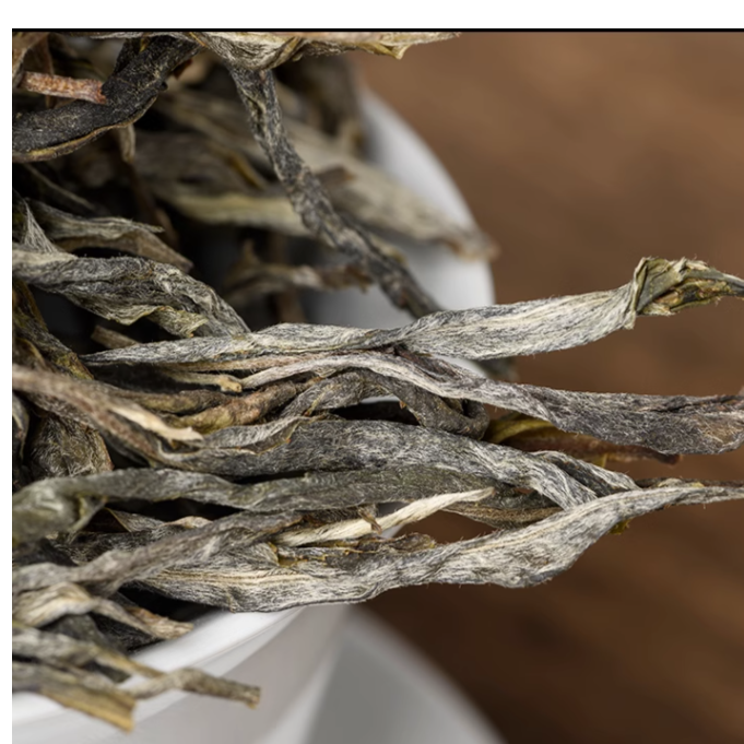 易武麻黑古树茶生茶散茶纯料生普洱春茶云南普洱茶散装茶叶100g