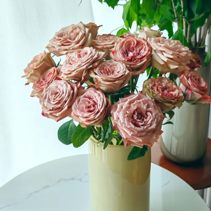 【今日福利】卡布奇诺单头玫瑰 10/20枝 两单升级京东冷链/EMS空运