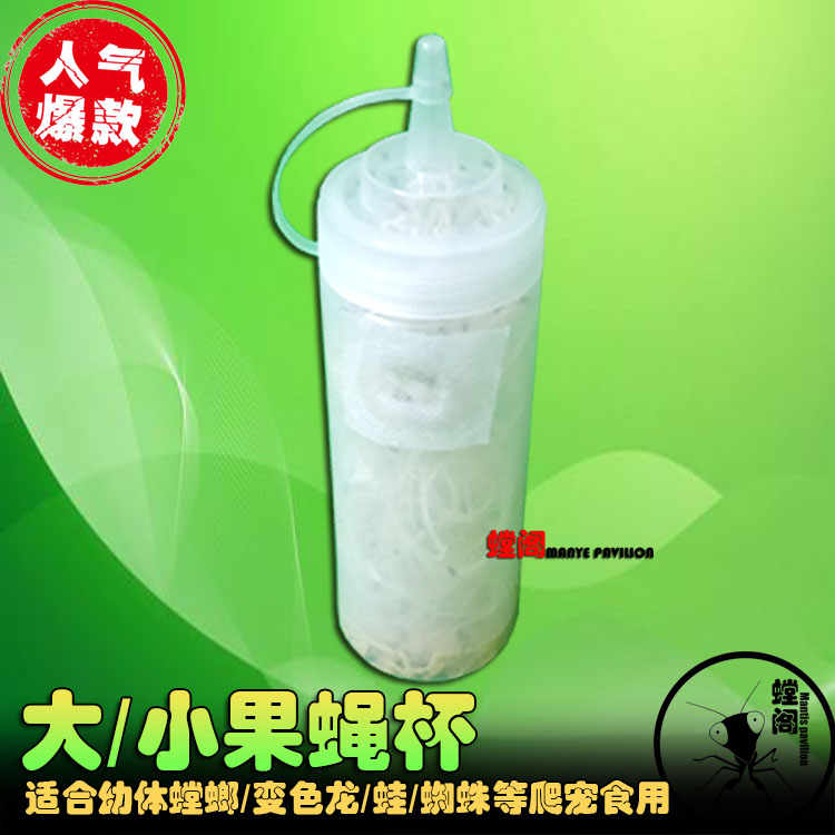 羊羊果蝇杯果蝇活体残翅大果蝇杯无翅小果蝇杯实验蝇角蛙蜘蛛