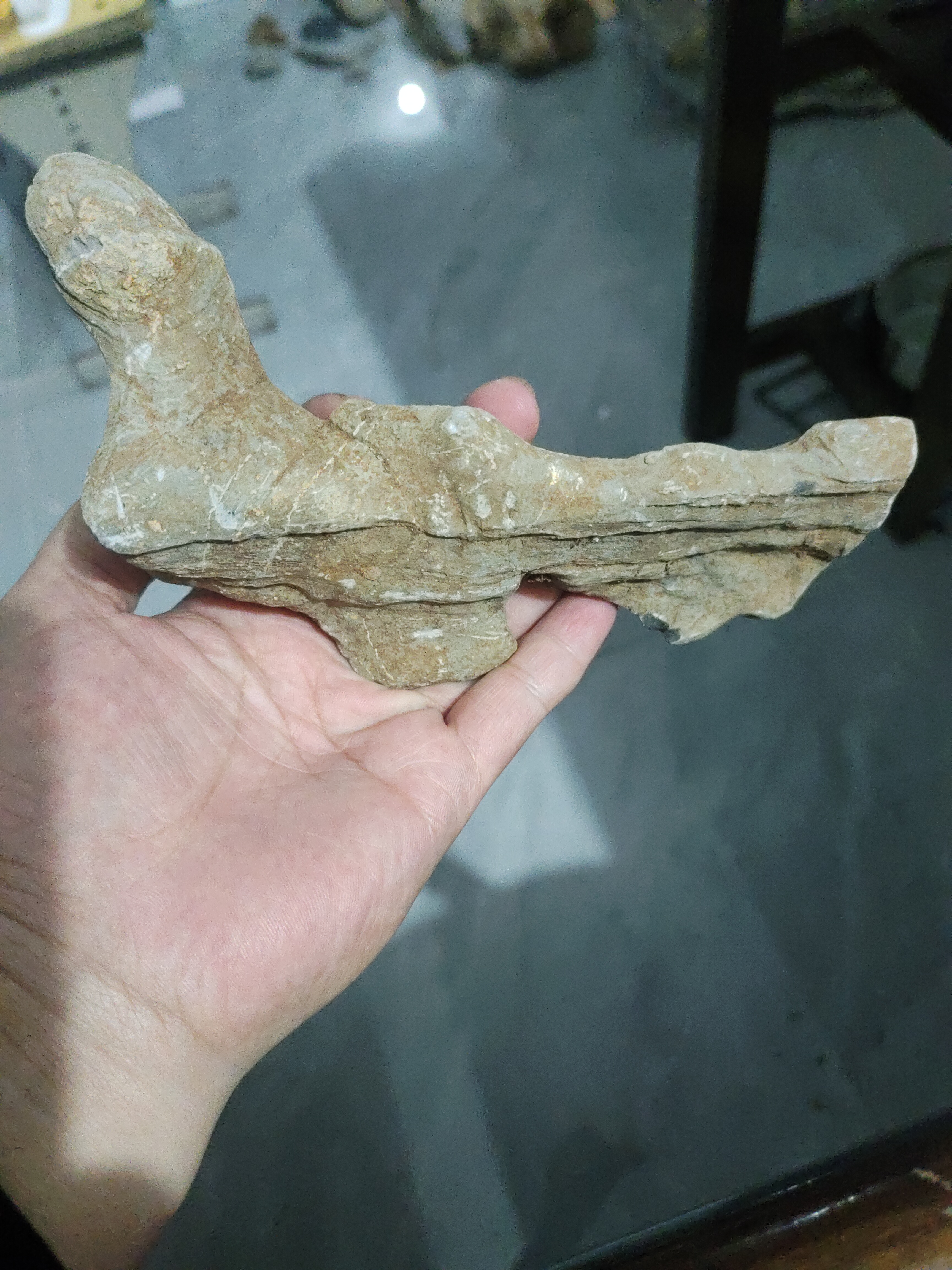 白马纹石直播专用请勿乱拍