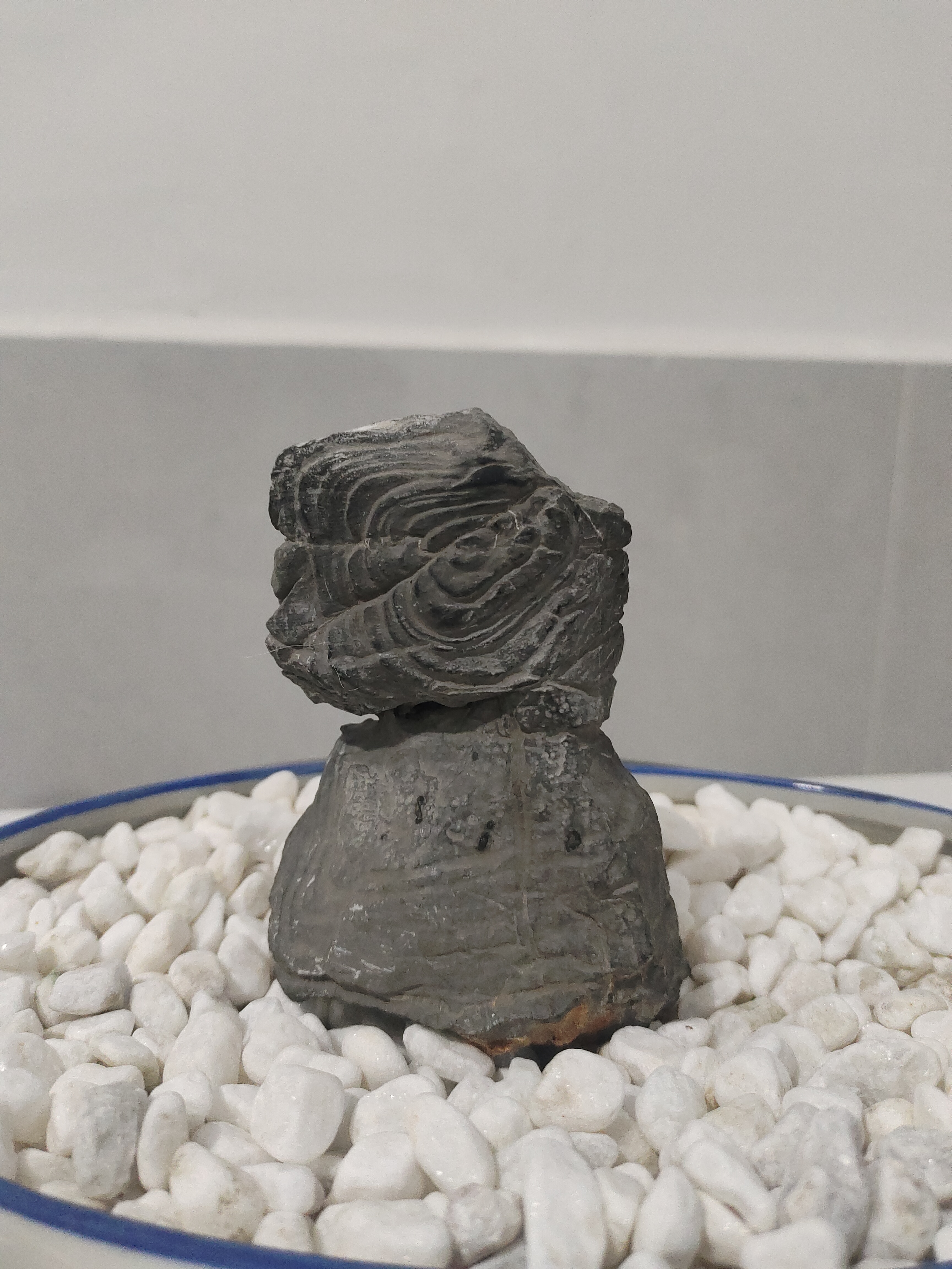 灵璧石白马纹石直播专用