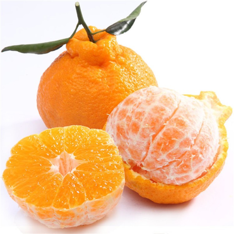 丑桔1000g/份四川省