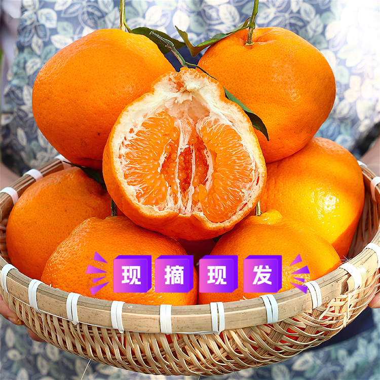 【商超品质果】四川春见耙耙柑 丑橘丑八怪橘子新鲜8个65-71mm包邮.