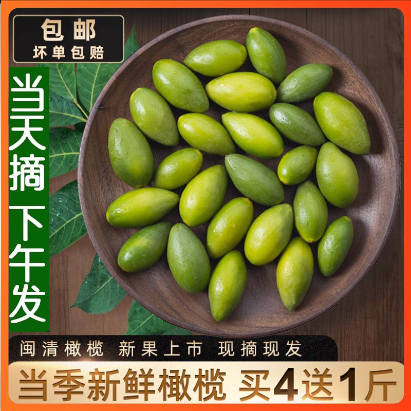 2023年当季新鲜橄榄福建特产青橄榄生吃煲汤檀香橄榄水果500g