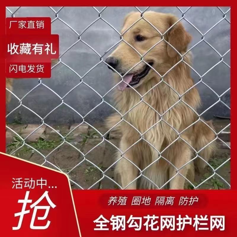 镀锌铁丝网养殖防护网围栏栅栏户外钢丝网果园鱼塘勾花网养鸡铁网
