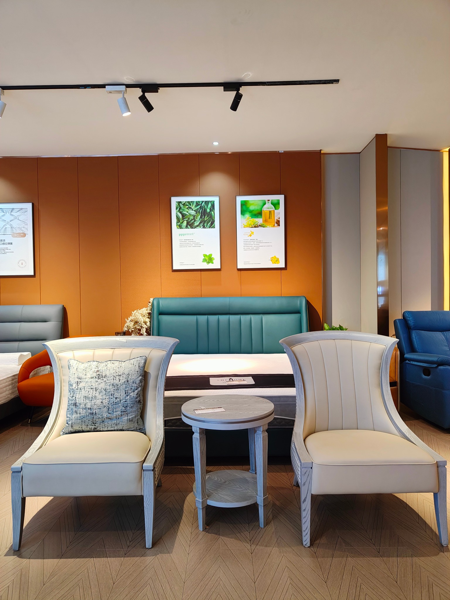 【不包邮】欧罗丹美系列 A01 休闲椅 860*800*970H