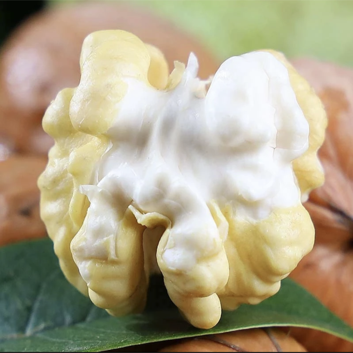 【拍3斤送2斤】新鲜湿核桃 现摘去青皮 老树薄皮