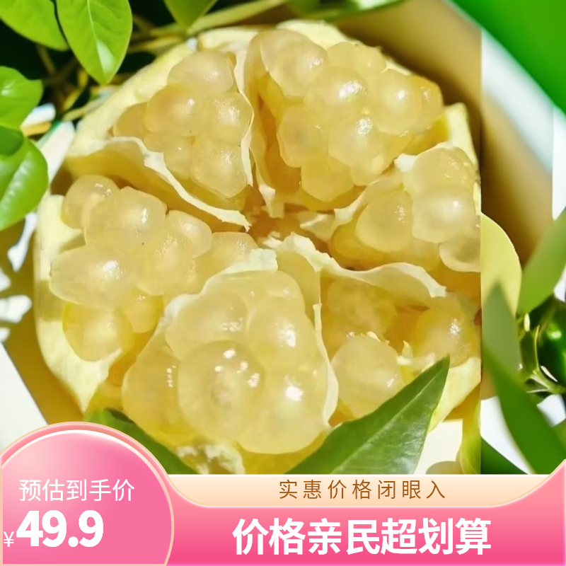 怀远石榴白花玉石籽大果5两左右，净重九斤装坏果包赔 江浙沪包邮
