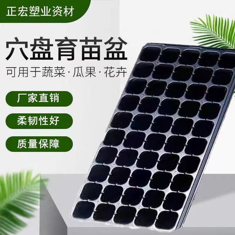 多功能育苗盘蔬菜花苗育苗用穴盘72孔方盘瓜果苗木育苗专用盘10个