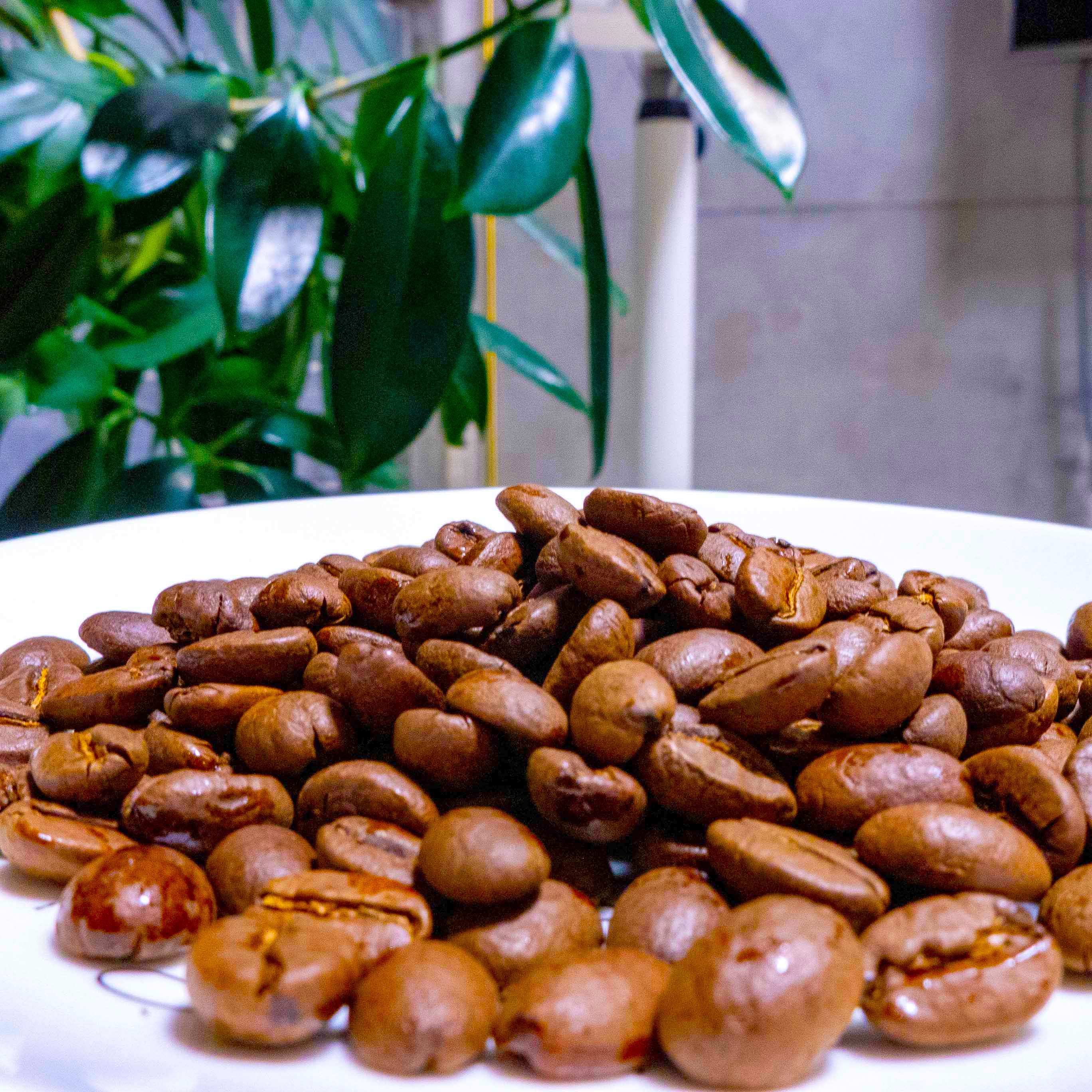 杨生Cafe意式特拼精品咖啡豆227g、优质豆种、风味丰富、深度烘焙