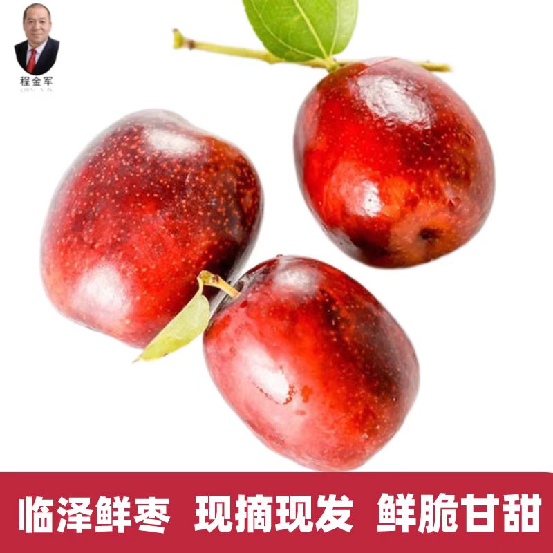 【枣老板专属】临泽有机鲜枣 【现摘现发】5斤包邮