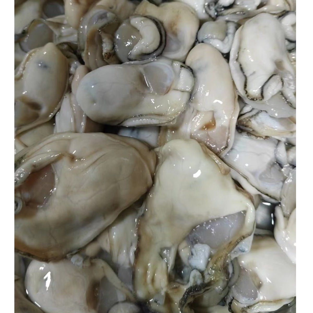 《同城闪送》官渡生蚝肉 