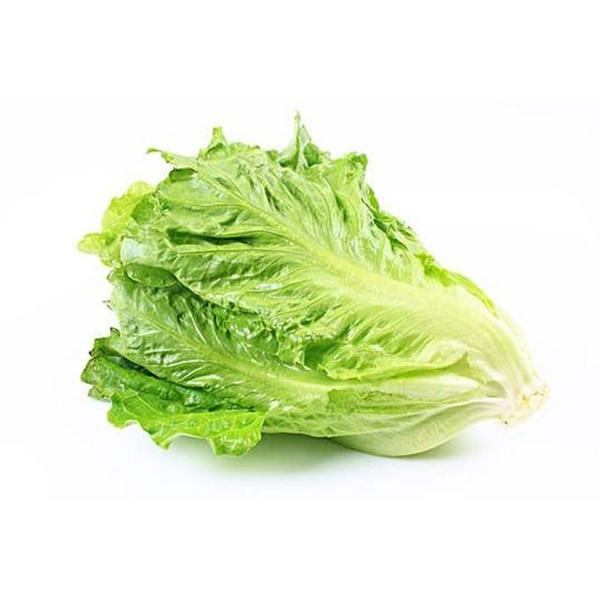 《同城配送》生菜1斤