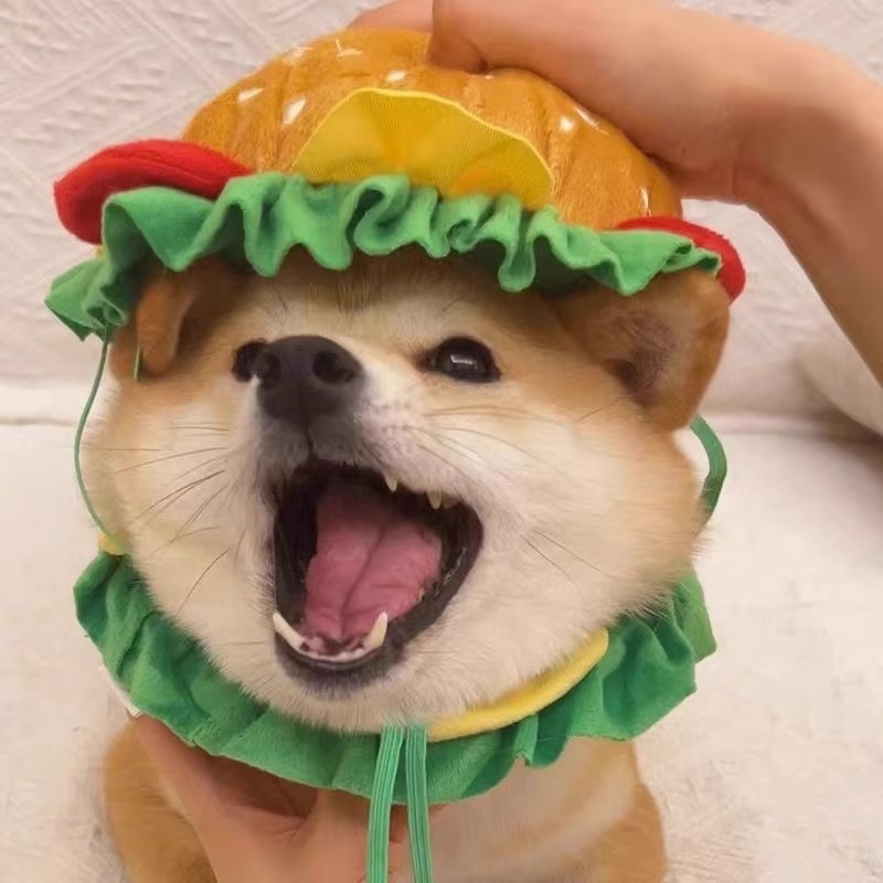 宠物帽子卡通搞怪泰迪比熊小型犬狗狗汉堡头饰网红秋冬猫项圈套装