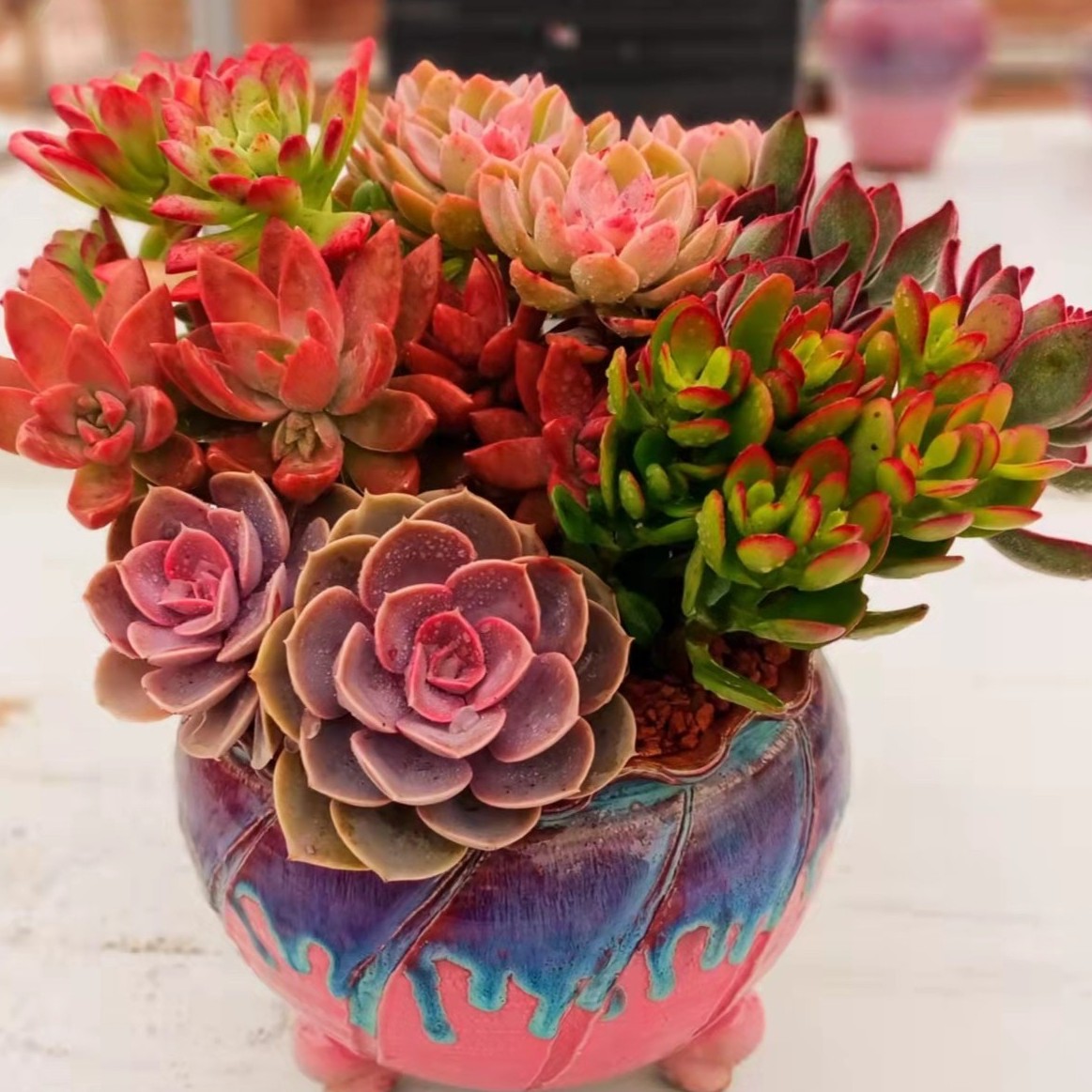 备用综合链接（满15包邮 综合链接以直播间展示为准）