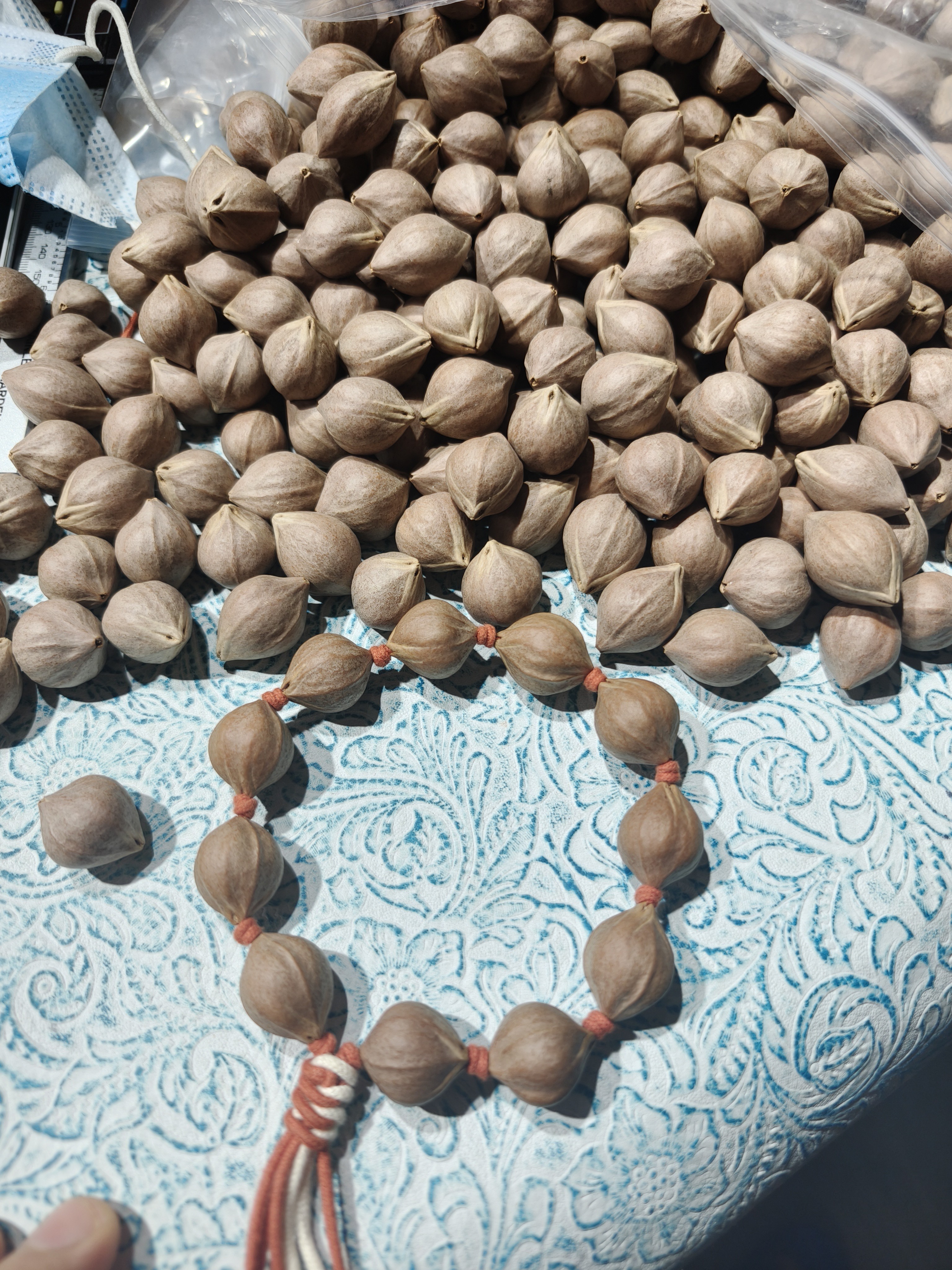 短圆三花，橄榄核