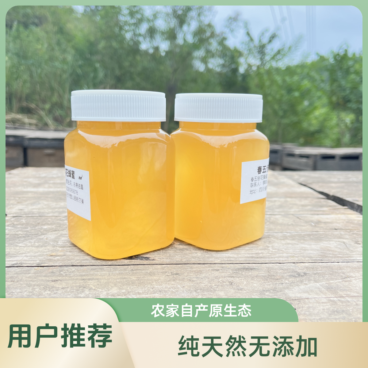 优质三月份春五倍子蜂蜜