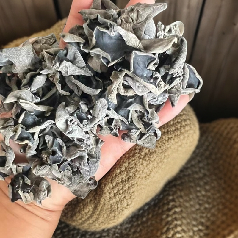 东北小兴安岭头茬春耳无根干净碗小黑厚耐泡泡发率高