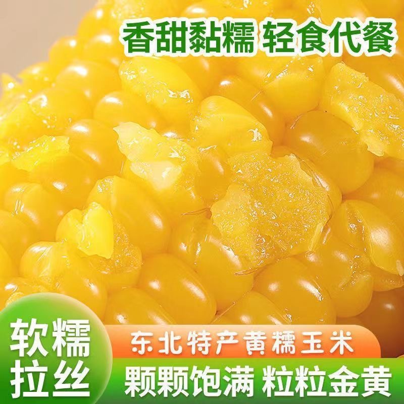 东北黄玉米新鲜真空蒸煮代餐粘糯玉米10支*260g-320g