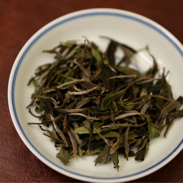 龍嘘 （小叶福利）2022（野茶）品鉴白30g