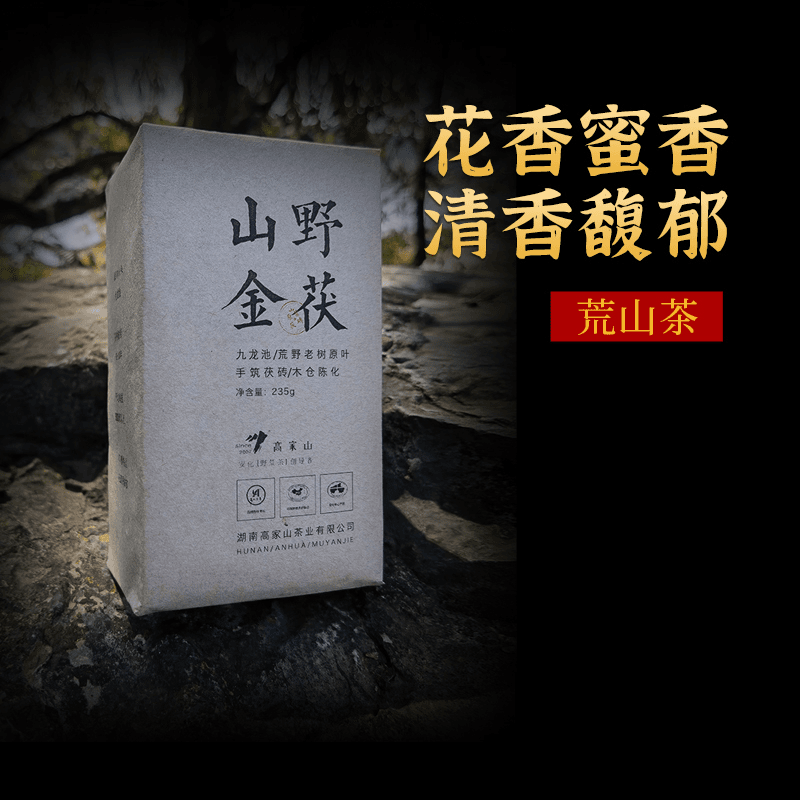 高家山安化黑茶2016年山野金茯九龙池天池湖手筑茯砖茶235g