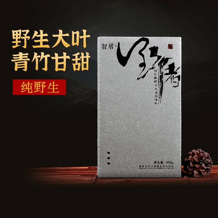 高家山湖南安化黑茶野者950g