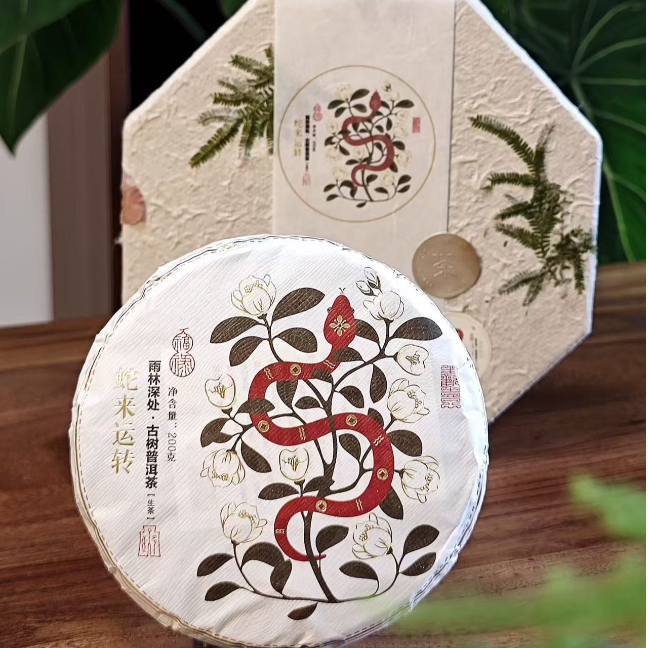 蛇来运转 曼松王子山 生茶