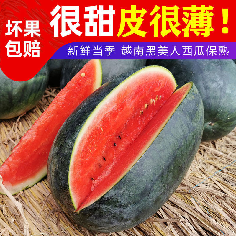 【越南黑美人】西瓜当季新鲜水果现摘薄皮爆甜多汁大西瓜