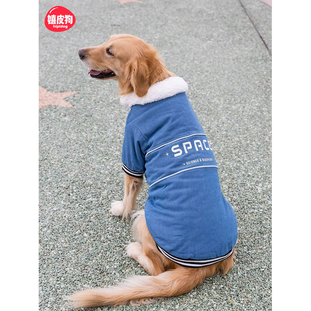 大狗狗衣服春秋款金毛拉布拉多柴犬边牧中型犬大型犬秋季牛仔棉衣