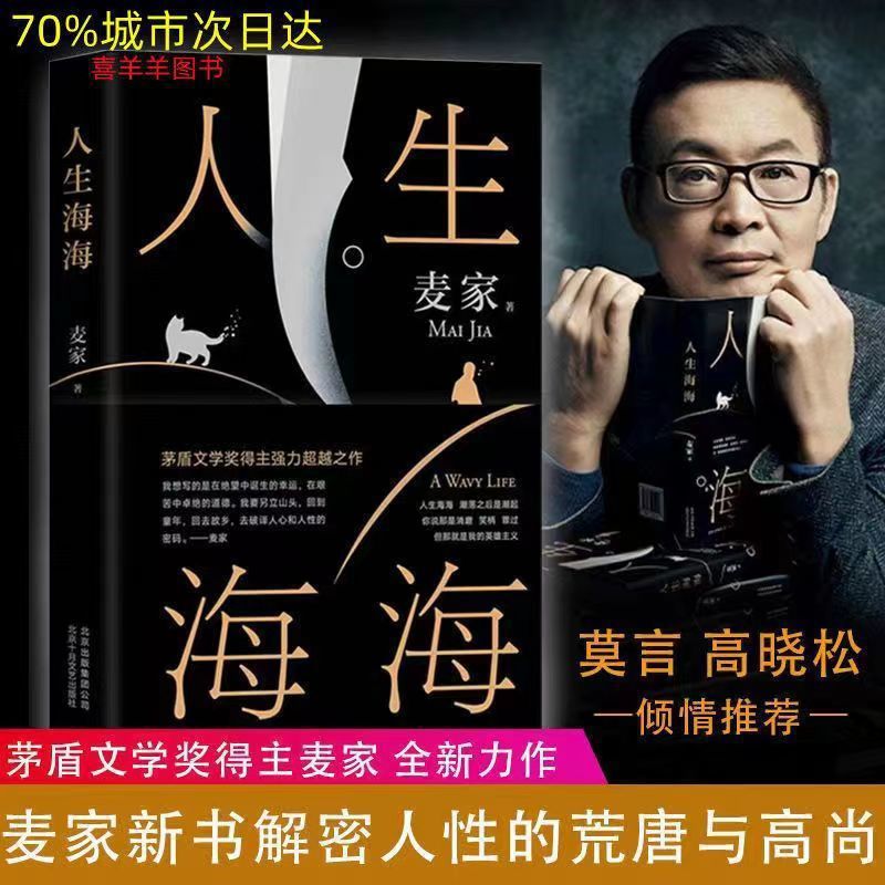 人生海海精装 麦家新书 茅盾文学奖得主2019之作文学小说书籍