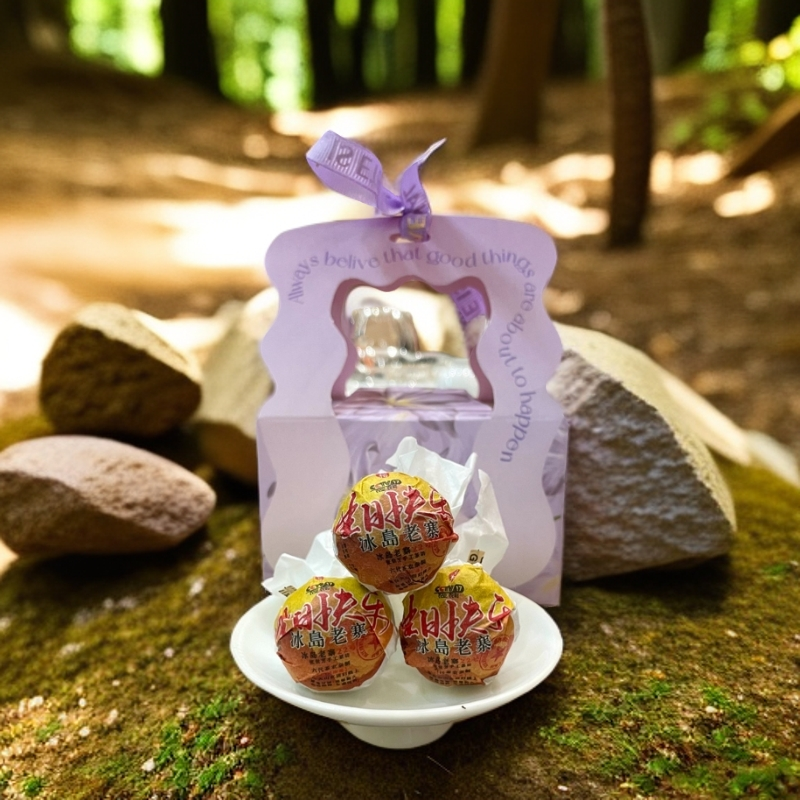 冰岛老寨22号  2024年 头春百年古树 龙珠 