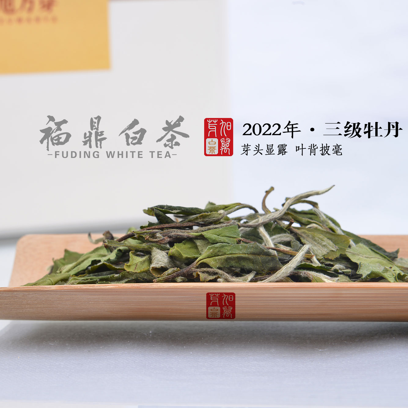 2022福鼎白茶磻溪高山甘甜花香白牡丹清香