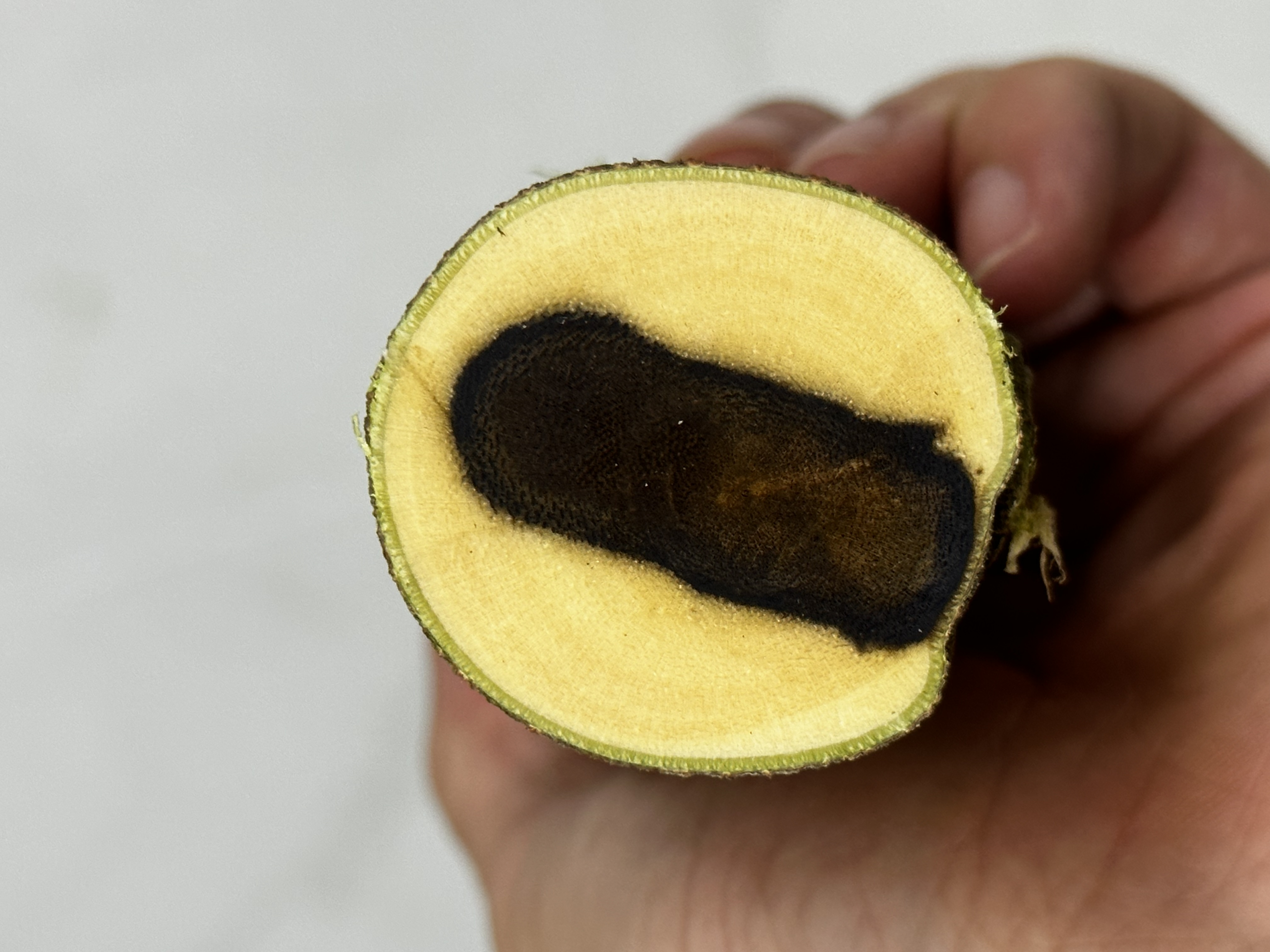 原料 不售后（可以不拍 拍下后不退换 ）谢谢！