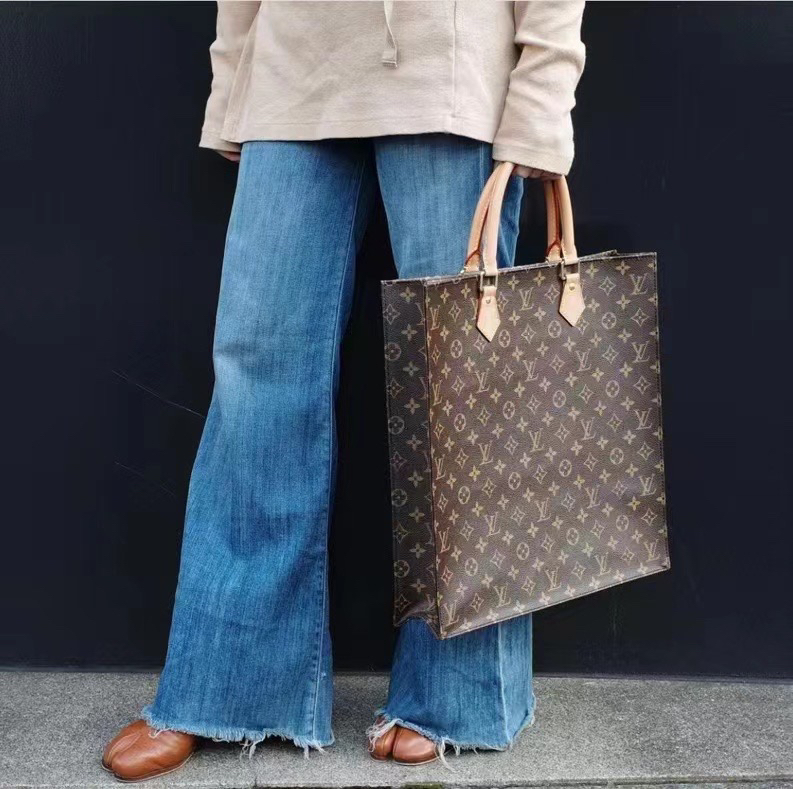 95新 LouisVuitton/路易威登 LV Petit Sac Plat老花琴谱包/00558