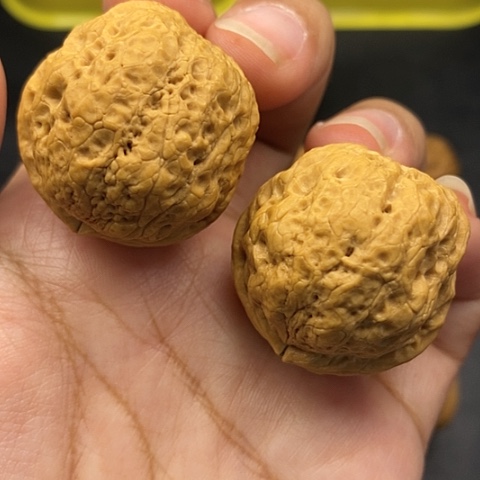 文玩核桃把件36尺云南核桃