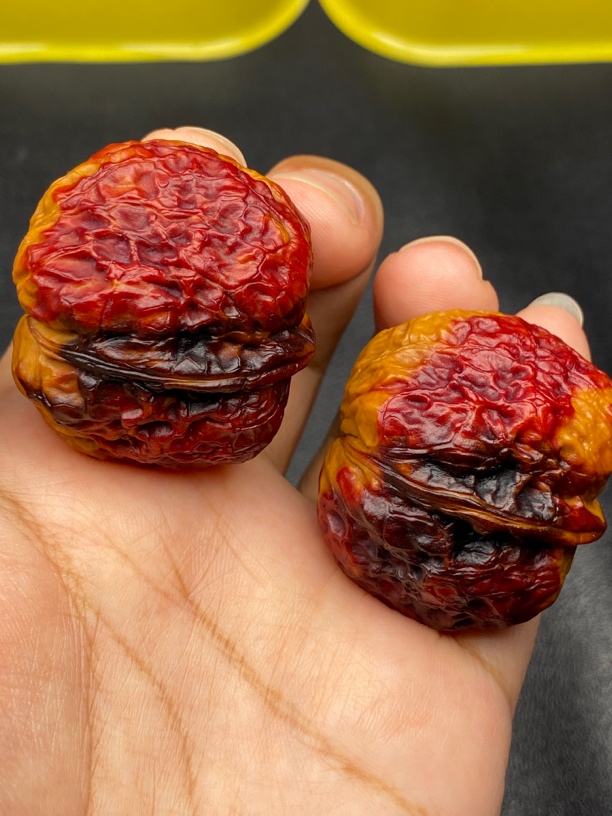 云南铁核桃 七彩元宝蟾 39−40尺 发货图片同款精品一对