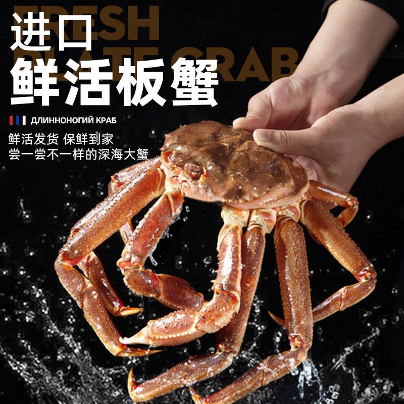 鲜活松叶蟹  板蟹/残板  7-8成肉  保鲜不保活