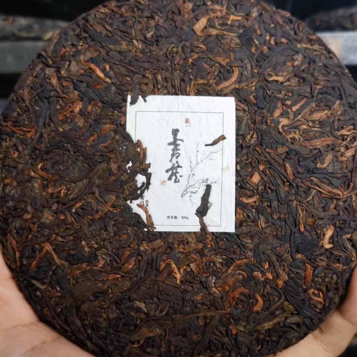 2022饼茶/古树弯弓熟茶