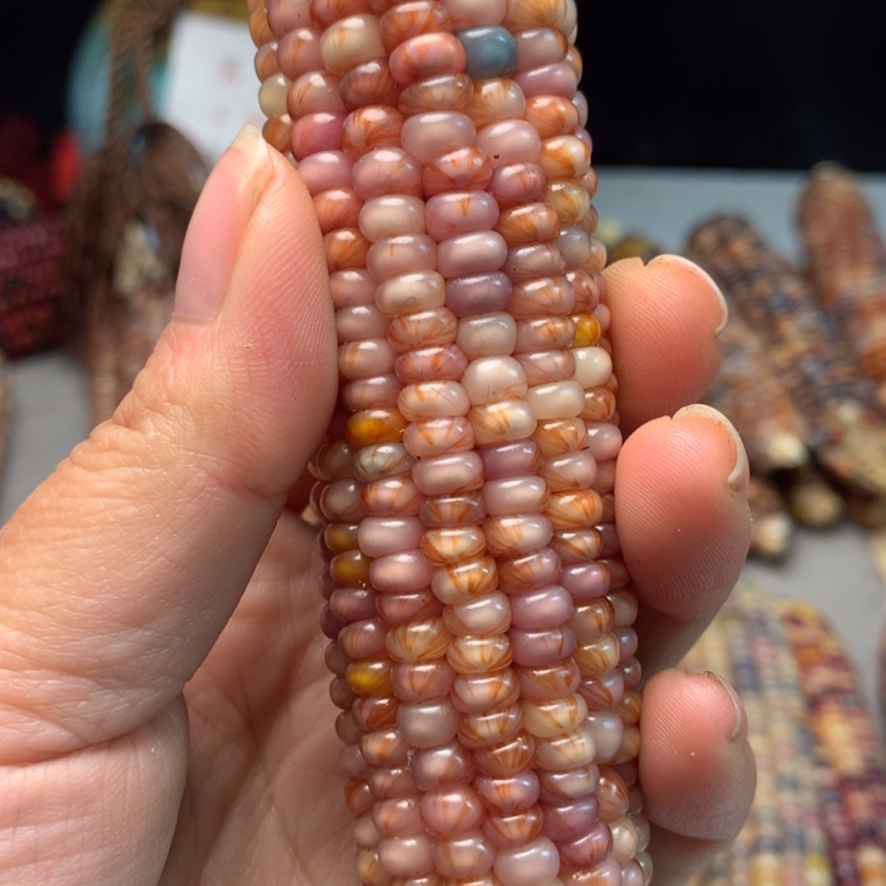 【闪购商品】晶*直播间商品不退不换