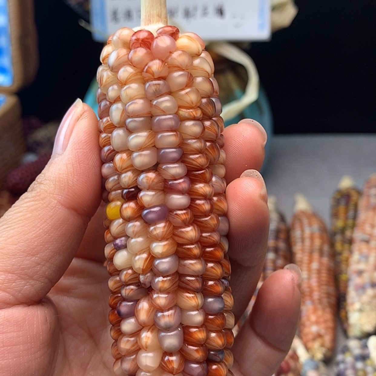 【闪购商品】点**2商品不退不换