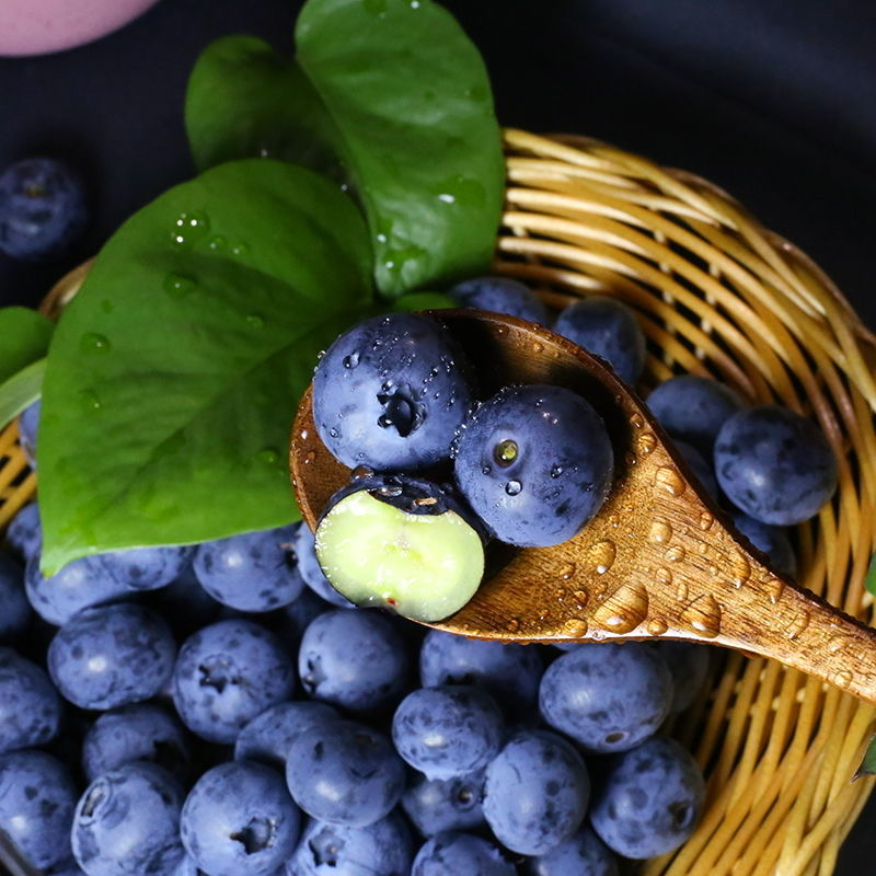 【12盒】云南花香蓝莓125g/盒云南省