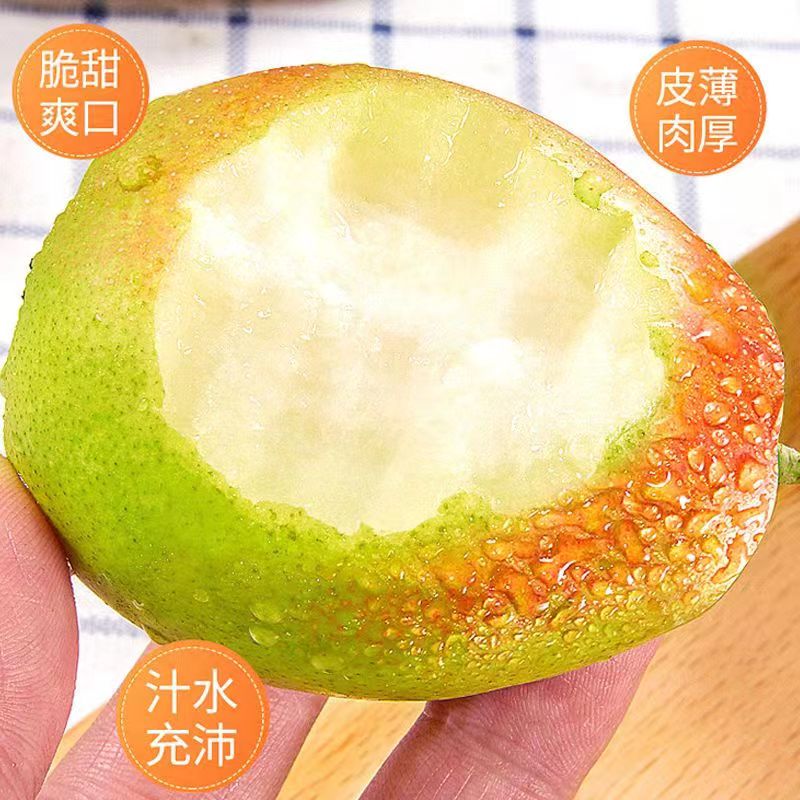 【大箱】库迩勒香梨带箱9.8斤左右
