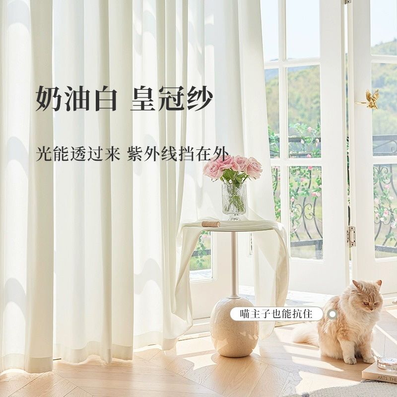 2024新款奶油风梦幻窗帘纱帘透光不透人卧室客厅阳台防刮遮阳白纱