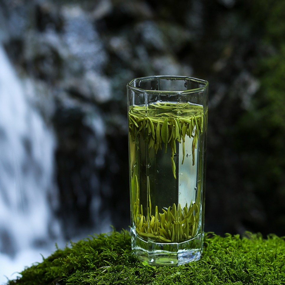 古马丨尊品翠芽 品鉴装（3g*16泡）