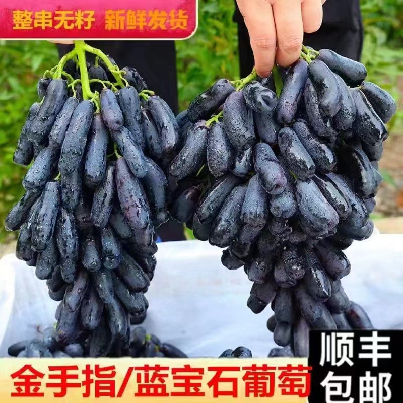 辉【顺丰冷链】蓝宝石无籽葡萄金手指美人指新鲜应季水果清甜口感