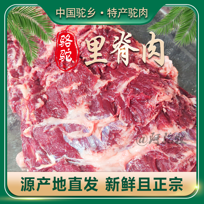 正宗新鲜骆驼肉精选里脊吊龙肉驼腩肉红烧美味营养丰富5斤包邮